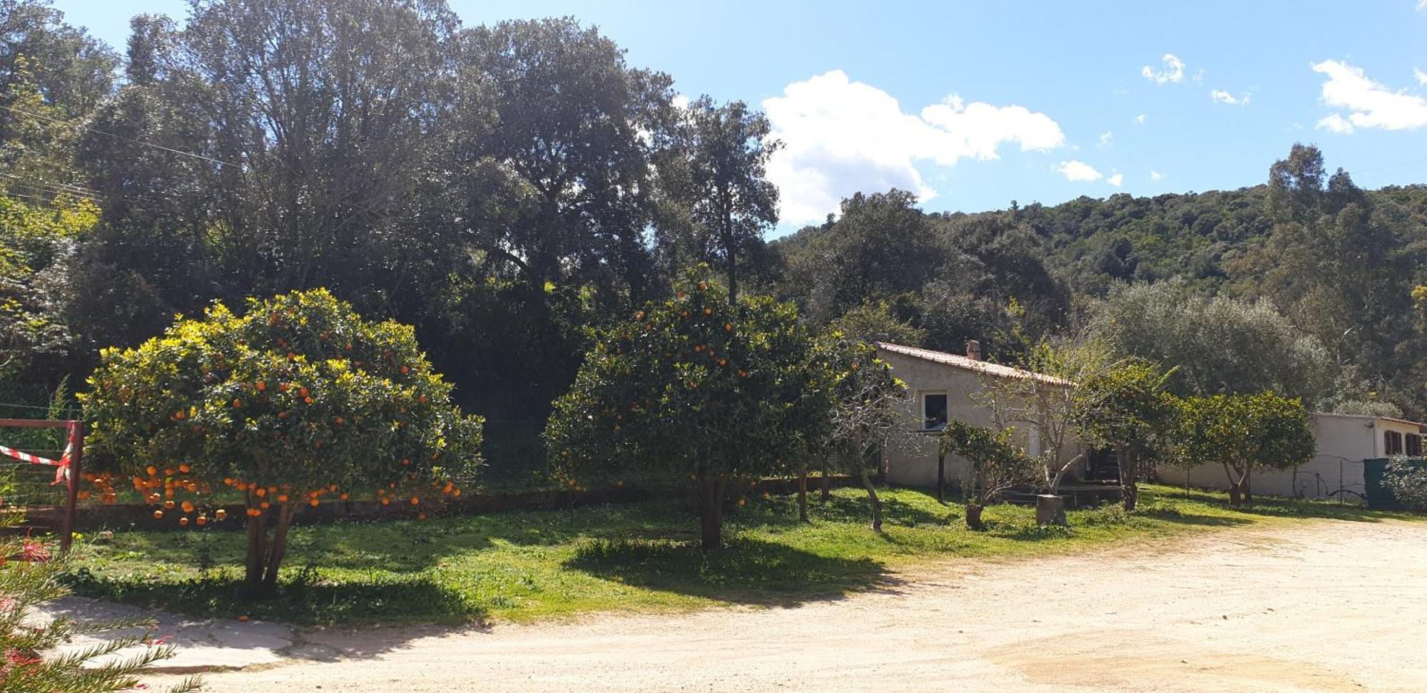 Auberge De Cannedda Sari-Solenzara Cameră foto